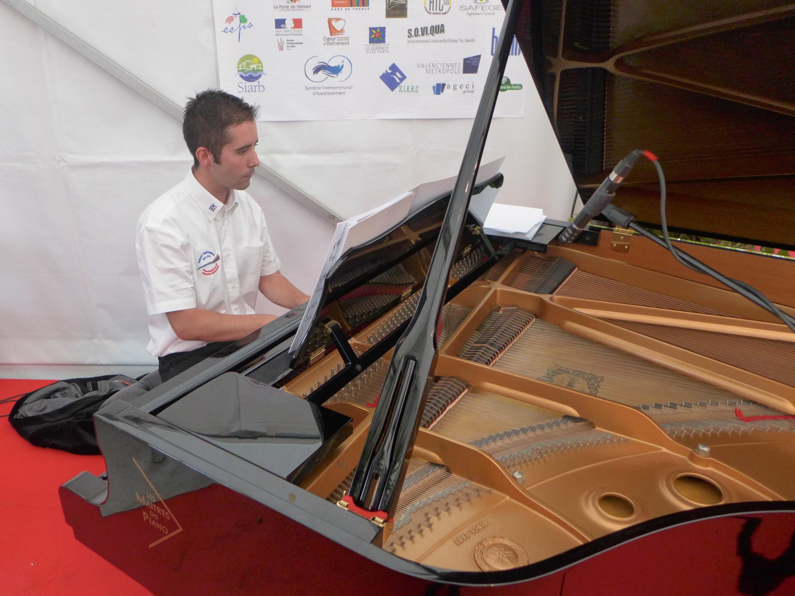 Animation piano-bar professionnelle pour hôtels de luxe et restaurants gastronomiques à Valenciennes, Douai et Cambrai.